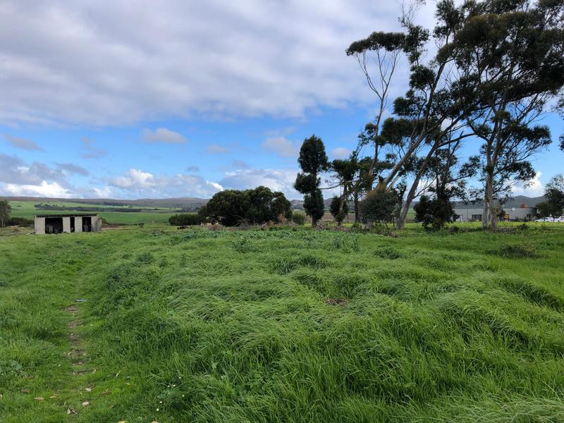 0 Bedroom Property for Sale in Baardskeerdersbos Western Cape